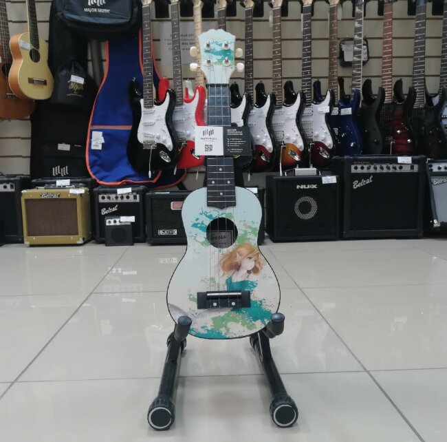 Укулеле сопрано TERRIS PLUS-70 ELF с рисунком