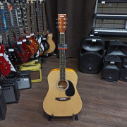 Акустическая гитара ARIA FIESTA FST-300 N