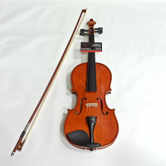 Скрипка 4/4 Fleet FLT-VP4/4 футляр, смычок