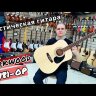 Акустическая гитара Parkwood W81-WBAG-OP с чехлом цвет натуральный