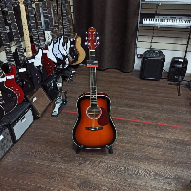 Акустическая гитара Naranda DG220BS