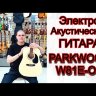 Электроакустическая гитара Parkwood W81E-OP с чехлом