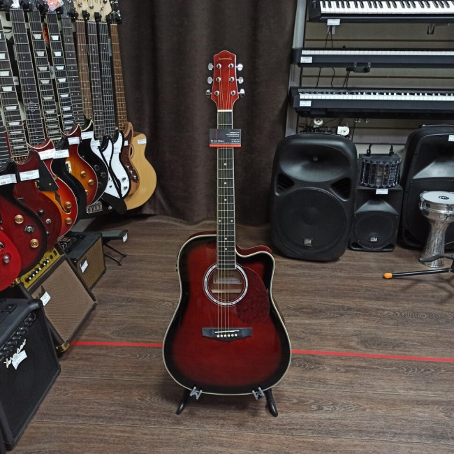 Акустическая гитара Naranda DG220CWRS с вырезом