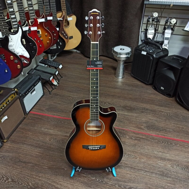 Акустическая гитара Naranda TG120CTS Акустическая гитара Naranda TG120CTS