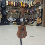 Укулеле сопрано FLIGHT NUS350 DC рисунок Ловец Снов чехол в комплекте