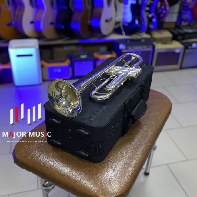 Труба Boston TR-250S серебренное покрытие