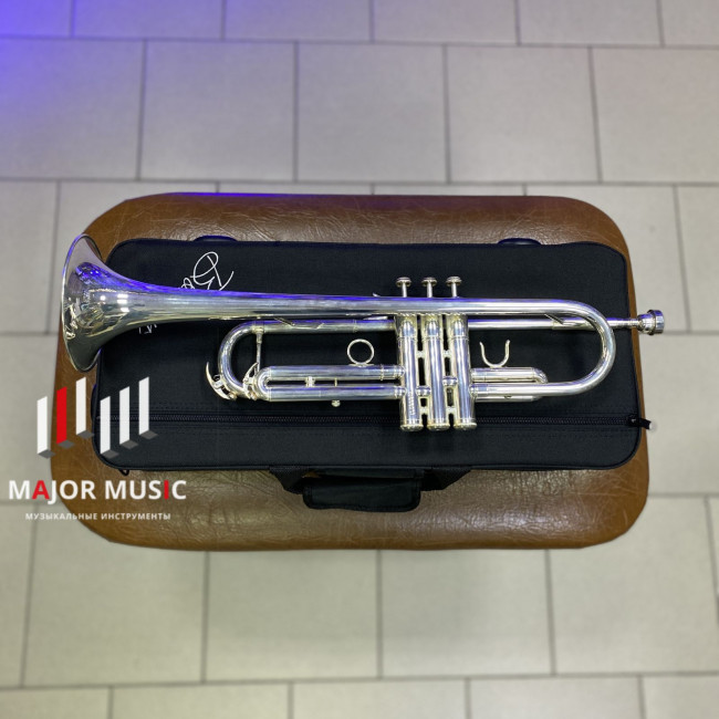 Труба Boston TR-250S серебренное покрытие