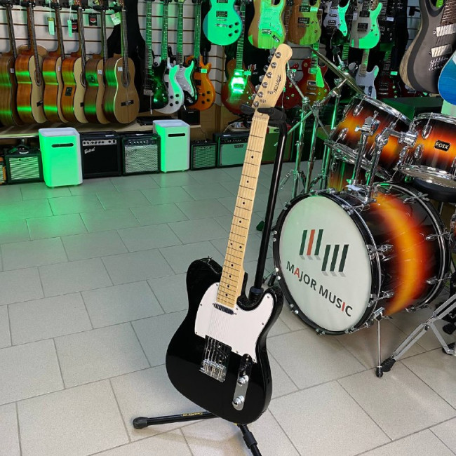 Электрогитара Homage HEG350BK telec ss