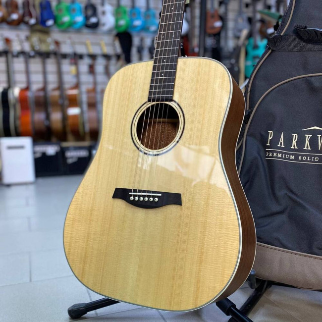 Акустическая гитара Parkwood S21-GT с чехлом