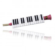 Кларина 27 клавиш Swan SW27J-PK