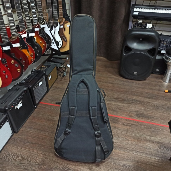 Акустическая гитара Parkwood S62 с чехлом