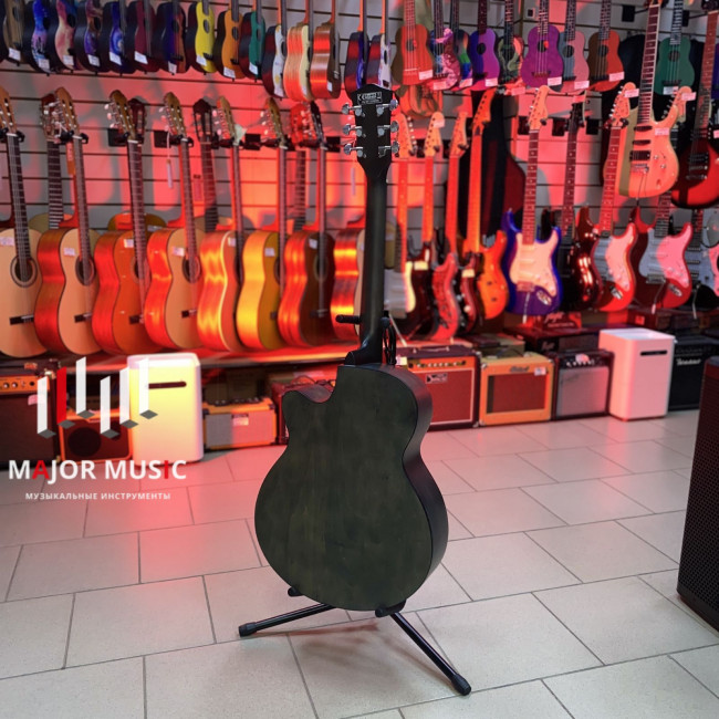 FFG-EA13-TBK Акустическая гитара, черная, Foix