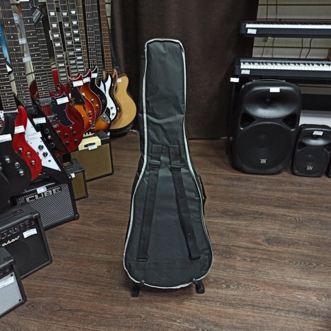 Акустическая гитара Parkwood W81-OP с чехлом