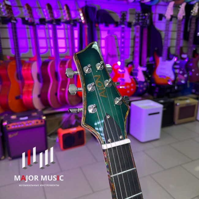 Aion E-30 BL электрогитара Aion E-30 BL электрогитара