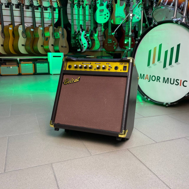 Комбоусилитель для акустической гитары Belcat POP15A