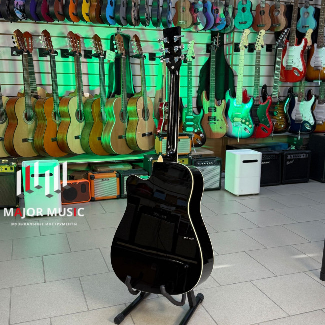 LF-4100-D Акустическая гитара, Homage