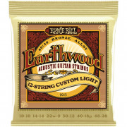 Струны для 12-струнной гитары 10-48 Ernie Ball 2013 Струны для 12-струнной гитары 10-48 Ernie Ball 2013
