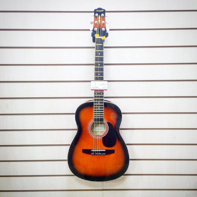 Акустическая гитара Naranda CAG110BS