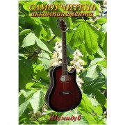 Самоучитель игры на Гитаре Шумидуб А.Л. 2 часть Самоучитель игры на Гитаре Шумидуб А.Л. 2 часть