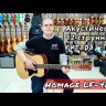 Акустическая 12-струнная гитара Homage LF-4128