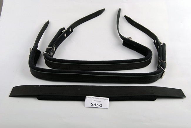 Комплект ремней для баяна аккордеона LSBc-1 3/4