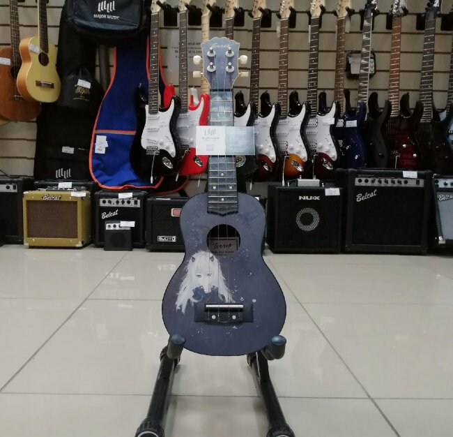 Укулеле сопрано TERRIS PLUS-70 VAMP с рисунком