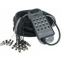 Мультикоры